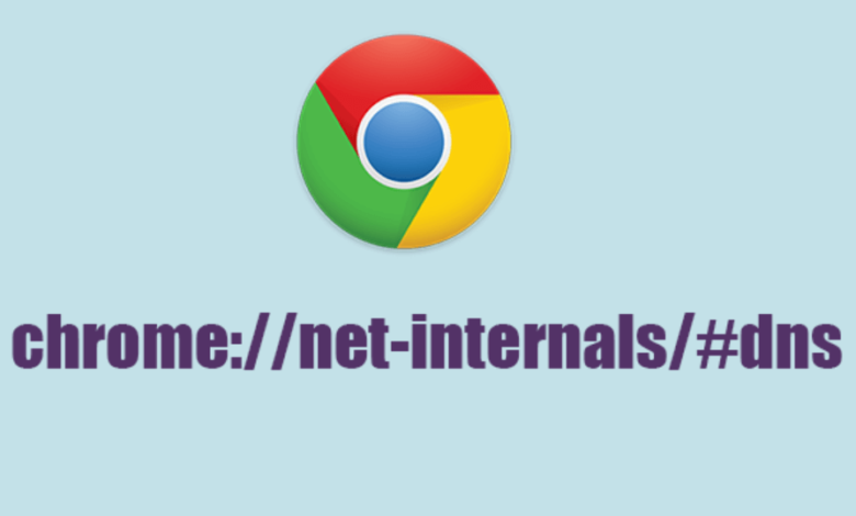 www.chrome //net-internals/#dns