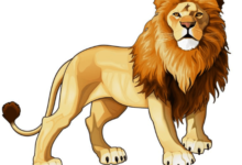 clipart:5xs5e-_r0we= lion