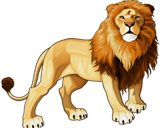clipart:5xs5e-_r0we= lion