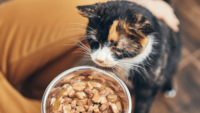 Cat Food :Global Pet Food Market by Region