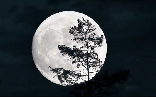 Clipart:-Gsakgij2bc= Moon Png