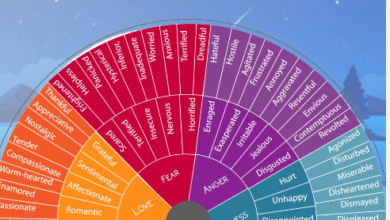 Free Printable:5th6i_3wlcw= Feelings Wheel Printable