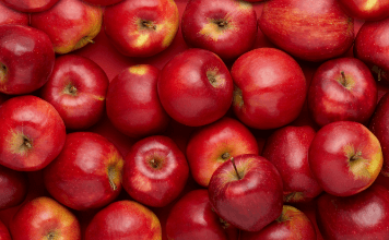 Clipart:88qxehsgzvu= Apples