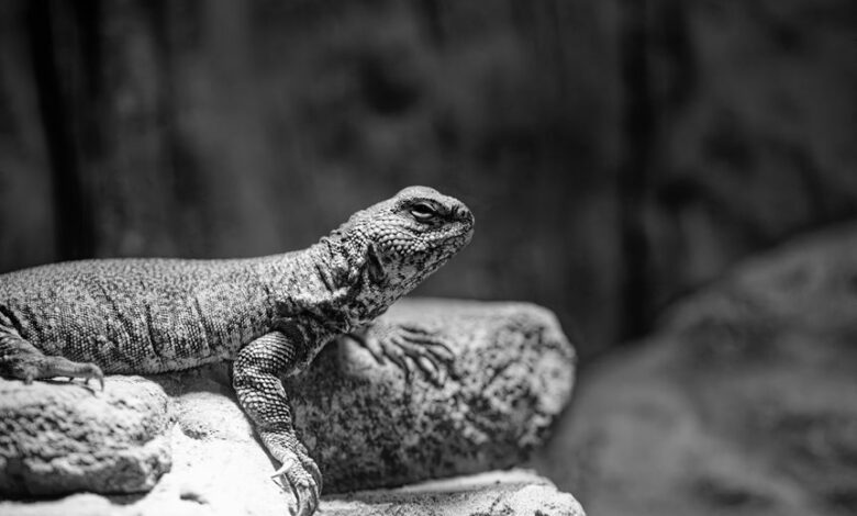 global competitor analysis report