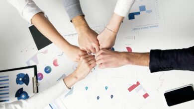 innovation and growth insights