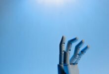 innovation and growth insights