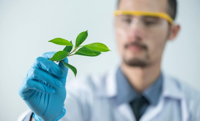 product performance comparison analysis