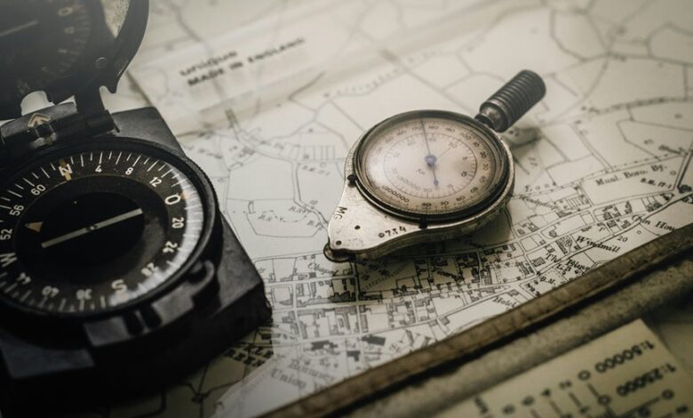 strategic opportunities identification process