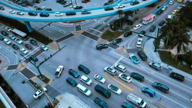 dynamic flux drives competitive success