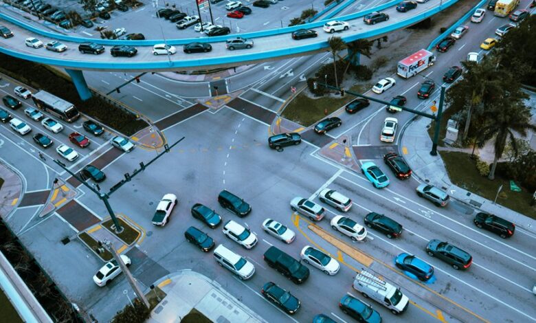 dynamic flux drives competitive success