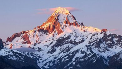 horizon flux start driving