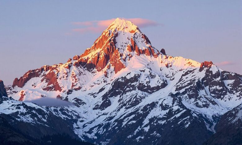 horizon flux start driving