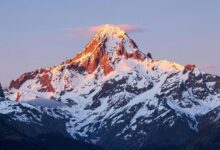 horizon flux start growth strategy