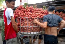 horizon lift start 8574156189