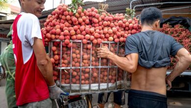 horizon lift start 8574156189