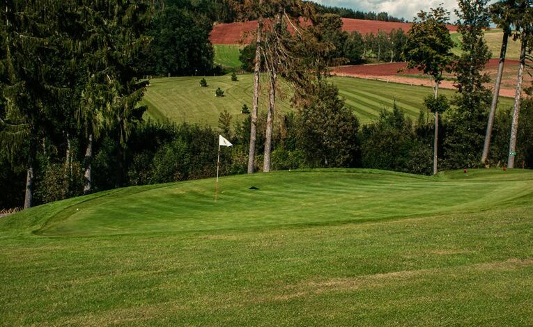 horizon spark start negotiating growth