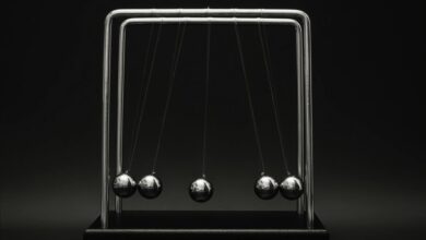 momentum radiance launches toward competitive excellence