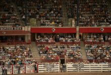 stellar horizon start 8558348495 across