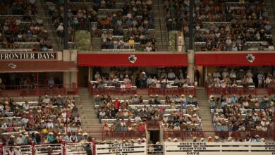 stellar horizon start 8558348495 across