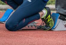 trailblazing apex start across emerging fields