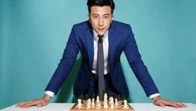 visionary apex leadership advantage