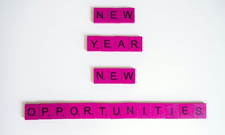 visionary flux start global opportunities