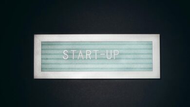 visionary spark unlocks success