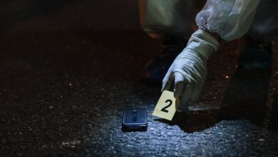 number registry evidence identifiers listed