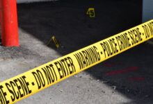 registry entries numbers and investigations exposed