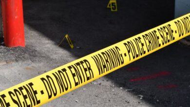 registry entries numbers and investigations exposed
