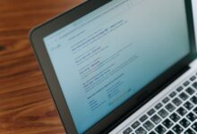 registry lookup results for listed ids