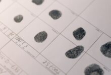 registry search records by numbers