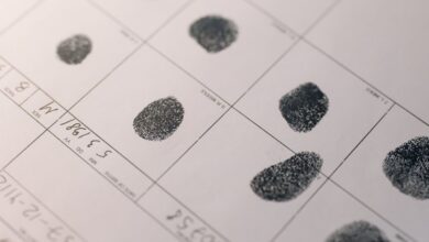 registry search records by numbers