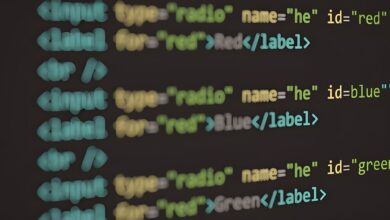 registry verification data identifiers listed