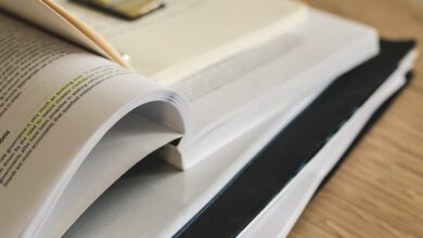 study registry ids list