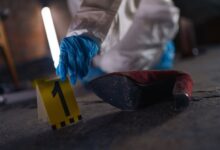 verified registry evidence ids list