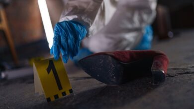 verified registry evidence ids list