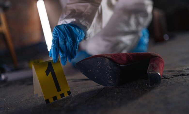 verified registry evidence ids list