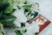 verified registry references for specified ids
